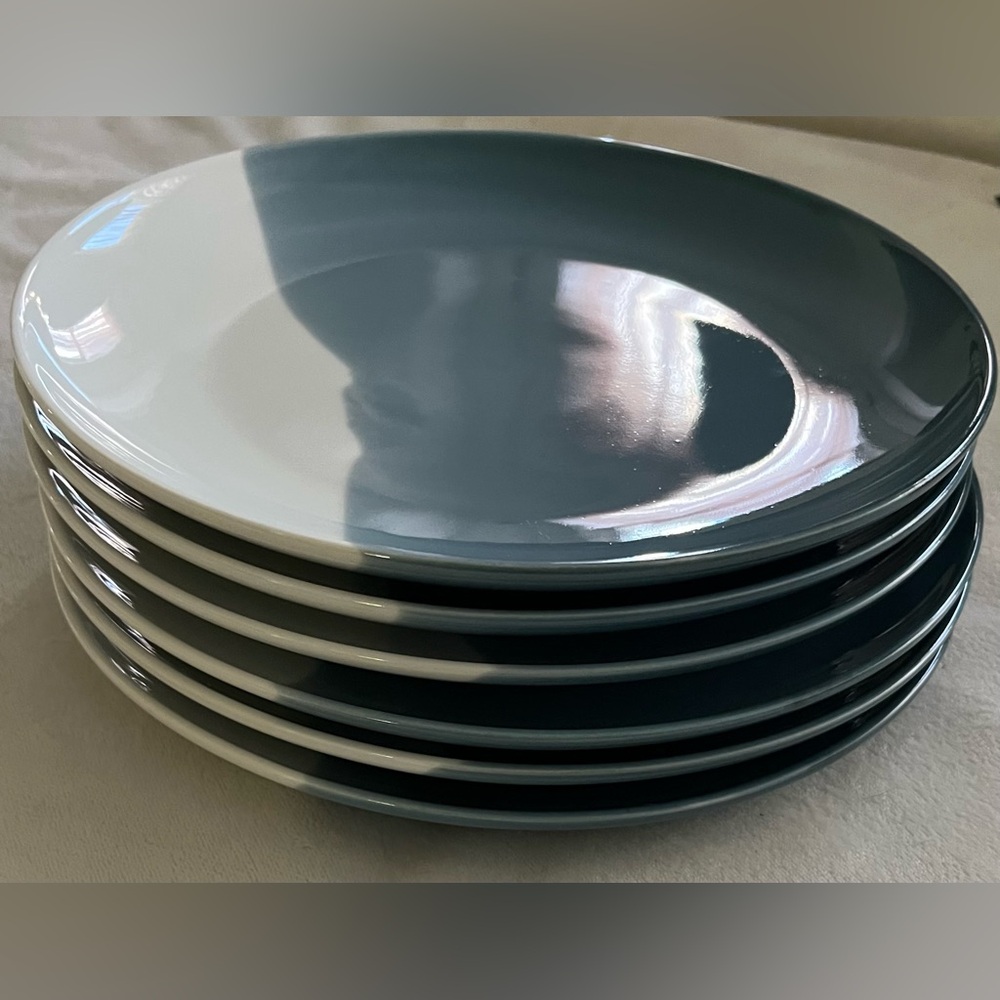 The Cellar Set of 6 Blue and White 9” Plates
